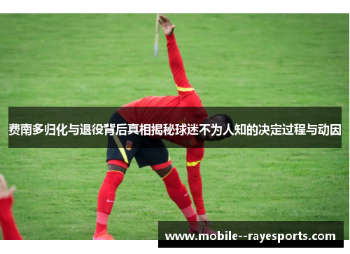 费南多归化与退役背后真相揭秘球迷不为人知的决定过程与动因