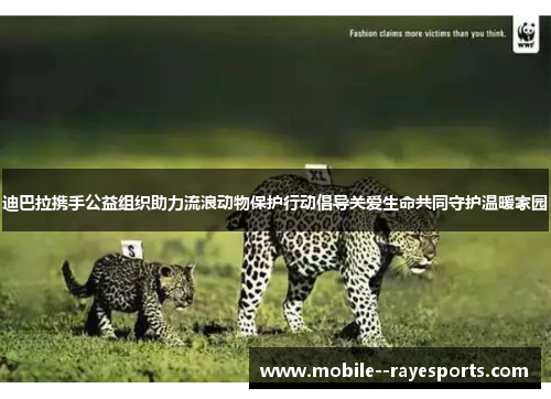 迪巴拉携手公益组织助力流浪动物保护行动倡导关爱生命共同守护温暖家园 迪巴拉携手公益组织助力流浪动物保护行动倡导关爱生命共同守护温暖家园