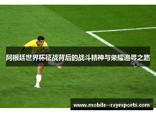 阿根廷世界杯征战背后的战斗精神与荣耀追寻之路